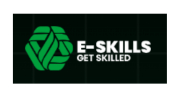 E-skills